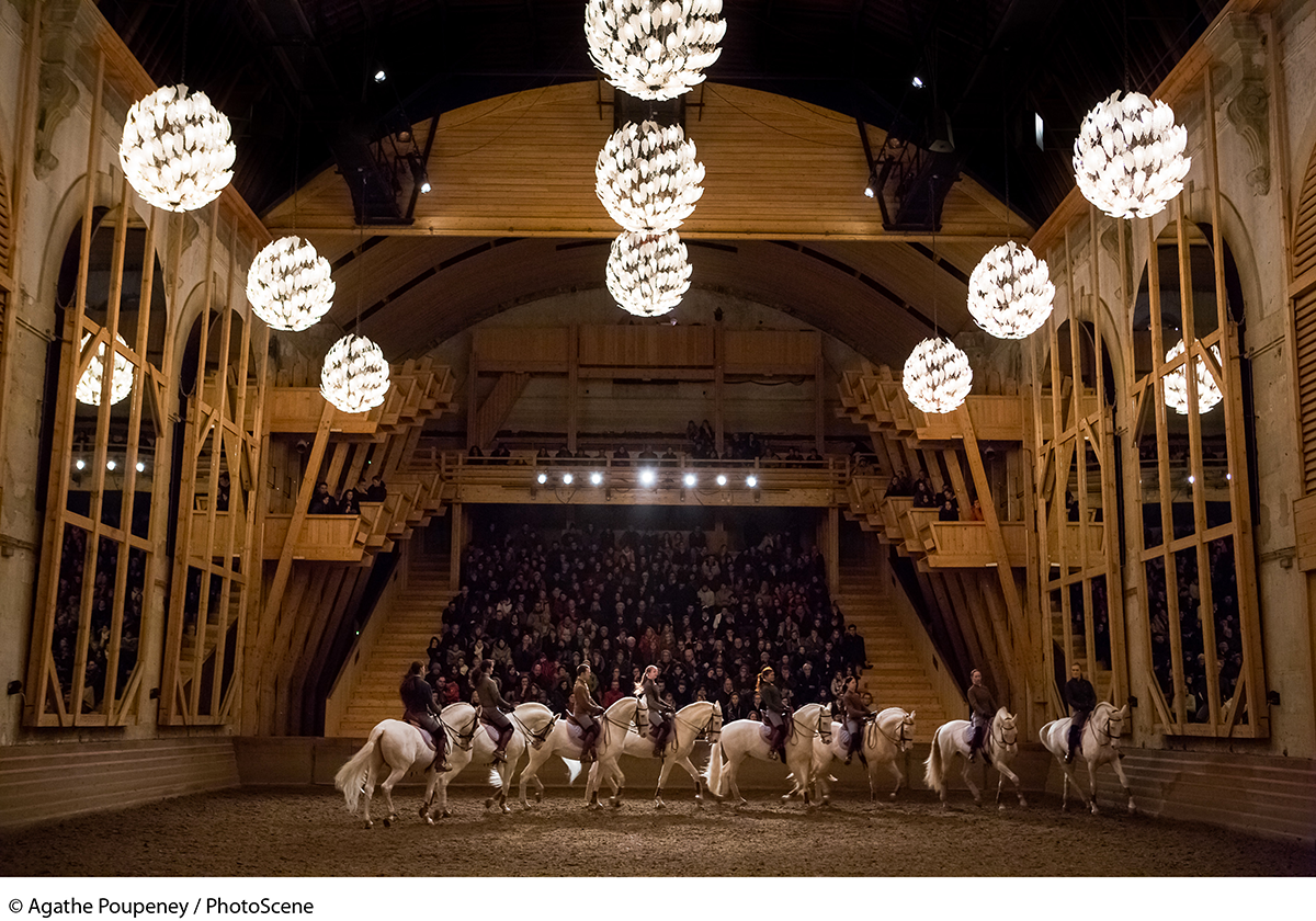 Equestrian academy at Versailles